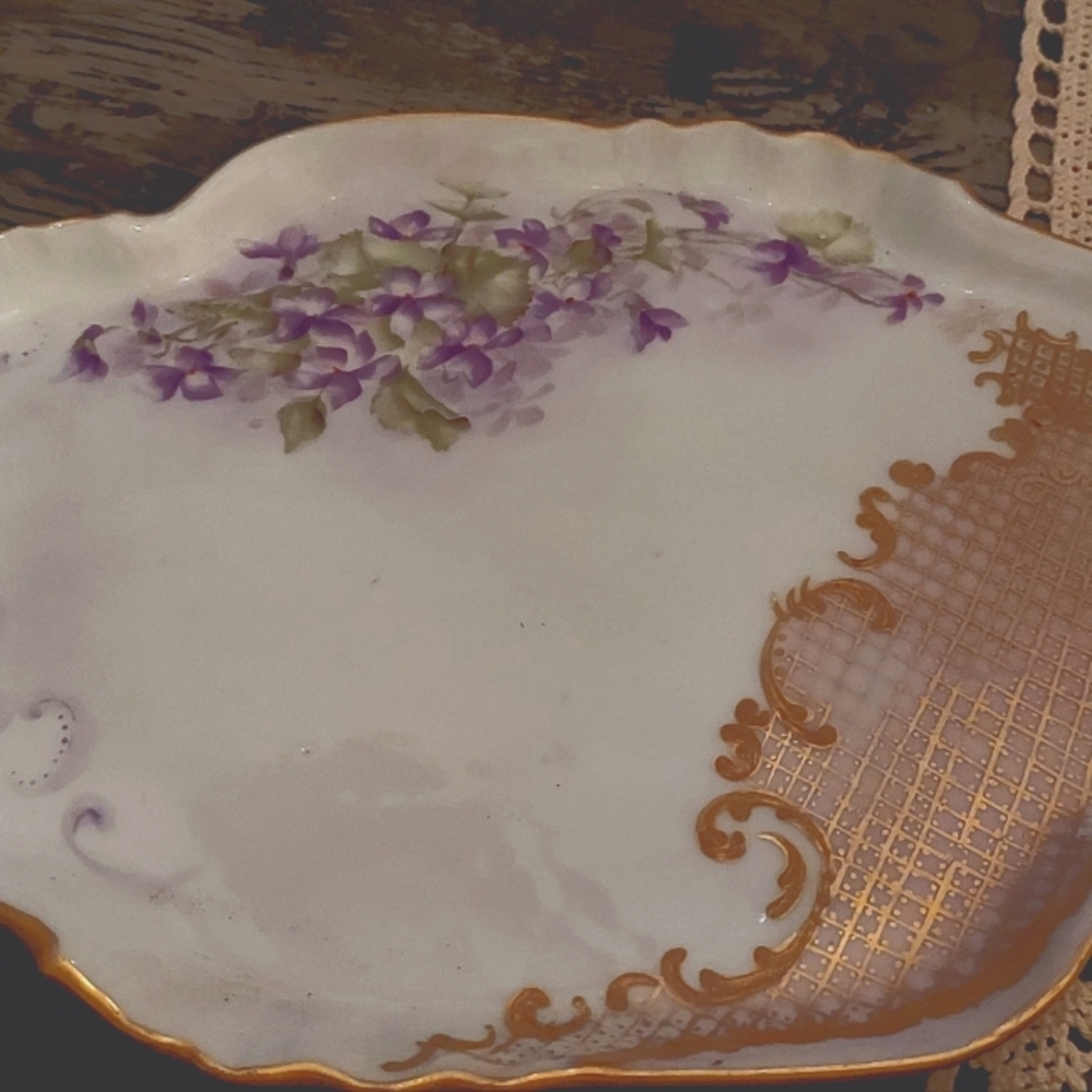 Hand painted French limoge porcelain dish